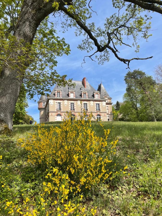 Château de Praslins Acomodação com café da manhã Nogent-sur-Vernisson Exterior foto