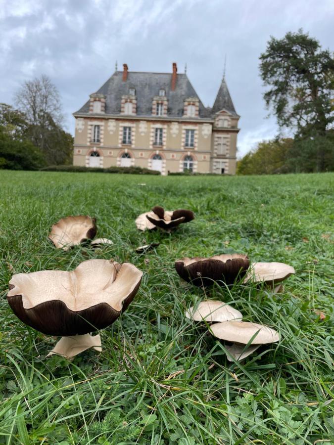 Château de Praslins Acomodação com café da manhã Nogent-sur-Vernisson Exterior foto